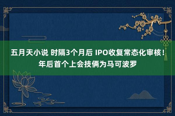 五月天小说 时隔3个月后 IPO收复常态化审核！年后首个上会技俩为马可波罗