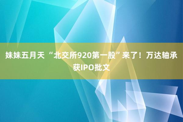 妹妹五月天 “北交所920第一股”来了！万达轴承获IPO批文