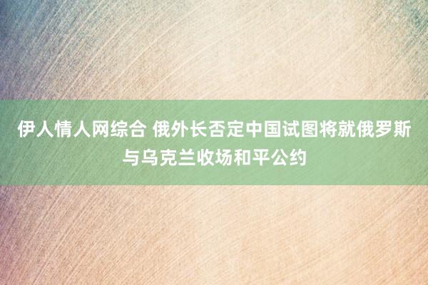 伊人情人网综合 俄外长否定中国试图将就俄罗斯与乌克兰收场和平公约