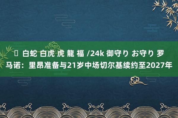 ✨白蛇 白虎 虎 龍 福 /24k 御守り お守り 罗马诺：里昂准备与21岁中场切尔基续约至2027年