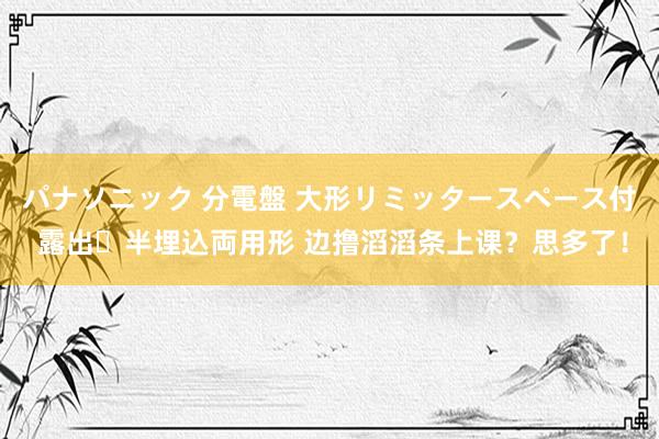 パナソニック 分電盤 大形リミッタースペース付 露出・半埋込両用形 边撸滔滔条上课？思多了！