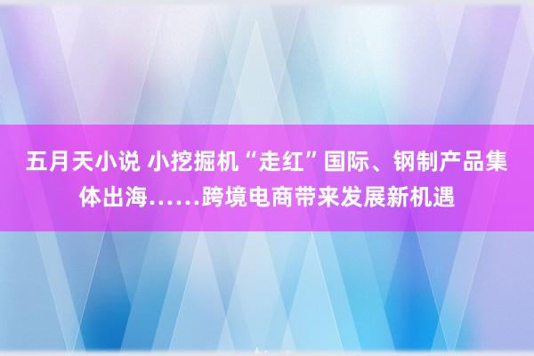 五月天小说 小挖掘机“走红”国际、钢制产品集体出海……跨境电商带来发展新机遇