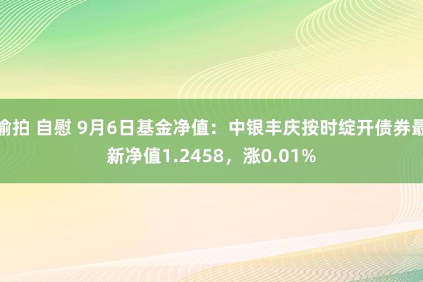 偷拍 自慰 9月6日基金净值：中银丰庆按时绽开债券最新净值1.2458，涨0.01%