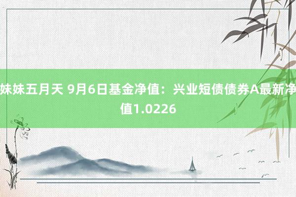 妹妹五月天 9月6日基金净值：兴业短债债券A最新净值1.0226