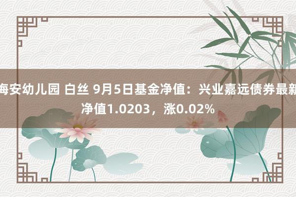 海安幼儿园 白丝 9月5日基金净值：兴业嘉远债券最新净值1.0203，涨0.02%