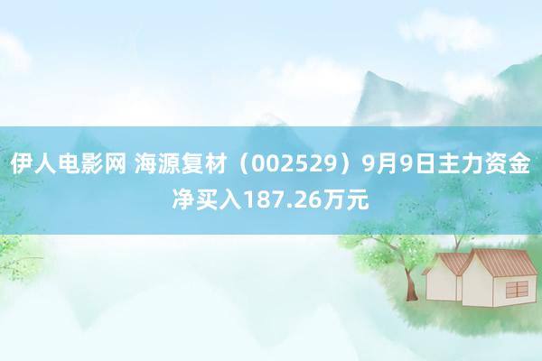 伊人电影网 海源复材（002529）9月9日主力资金净买入187.26万元