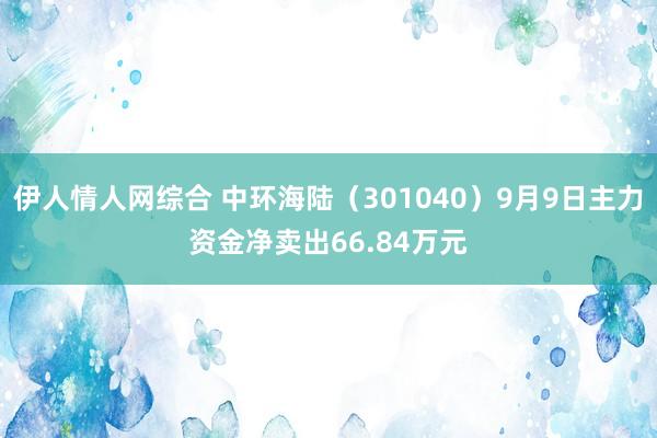 伊人情人网综合 中环海陆（301040）9月9日主力资金净卖出66.84万元