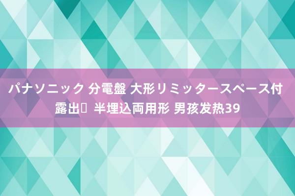 パナソニック 分電盤 大形リミッタースペース付 露出・半埋込両用形 男孩发热39