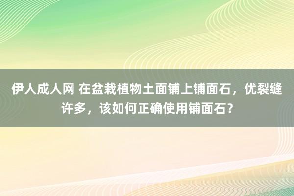 伊人成人网 在盆栽植物土面铺上铺面石，优裂缝许多，该如何正确使用铺面石？