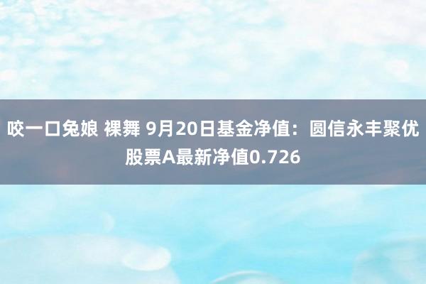 咬一口兔娘 裸舞 9月20日基金净值：圆信永丰聚优股票A最新净值0.726