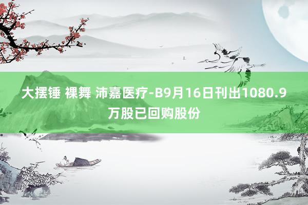 大摆锤 裸舞 沛嘉医疗-B9月16日刊出1080.9万股已回购股份