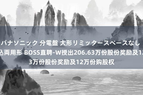 パナソニック 分電盤 大形リミッタースペースなし 露出・半埋込両用形 BOSS直聘-W授出206.63万份股份奖励及12万份购股权