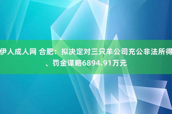 伊人成人网 合肥：拟决定对三只羊公司充公非法所得、罚金谋略6894.91万元