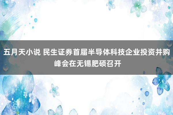 五月天小说 民生证券首届半导体科技企业投资并购 峰会在无锡肥硕召开