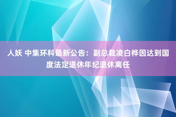 人妖 中集环科最新公告：副总裁凌白桦因达到国度法定退休年纪退休离任