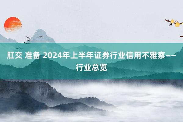 肛交 准备 2024年上半年证券行业信用不雅察——行业总览