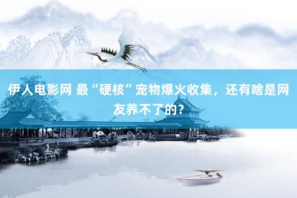 伊人电影网 最“硬核”宠物爆火收集，还有啥是网友养不了的？