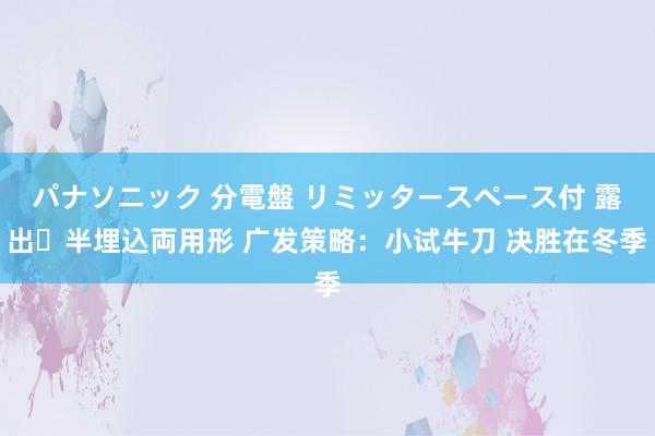 パナソニック 分電盤 リミッタースペース付 露出・半埋込両用形 广发策略：小试牛刀 决胜在冬季