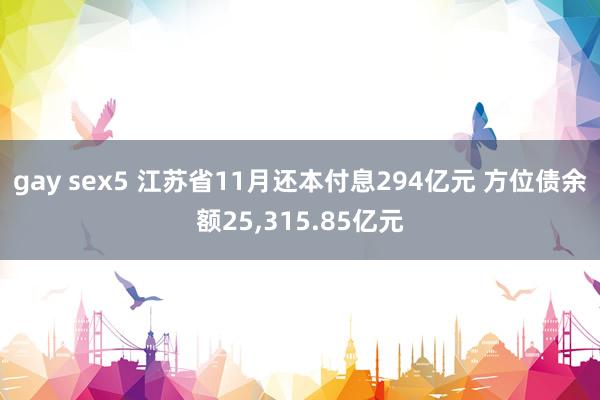 gay sex5 江苏省11月还本付息294亿元 方位债余额25，315.85亿元