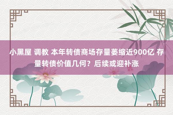 小黑屋 调教 本年转债商场存量萎缩近900亿 存量转债价值几何？后续或迎补涨