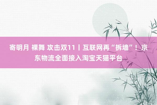 寄明月 裸舞 攻击双11丨互联网再“拆墙”！京东物流全面接入淘宝天猫平台