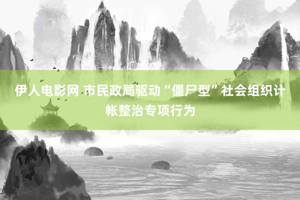 伊人电影网 市民政局驱动“僵尸型”社会组织计帐整治专项行为