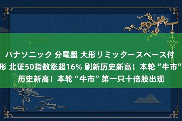 パナソニック 分電盤 大形リミッタースペース付 露出・半埋込両用形 北证50指数涨超16% 刷新历史新高！本轮“牛市”第一只十倍股出现