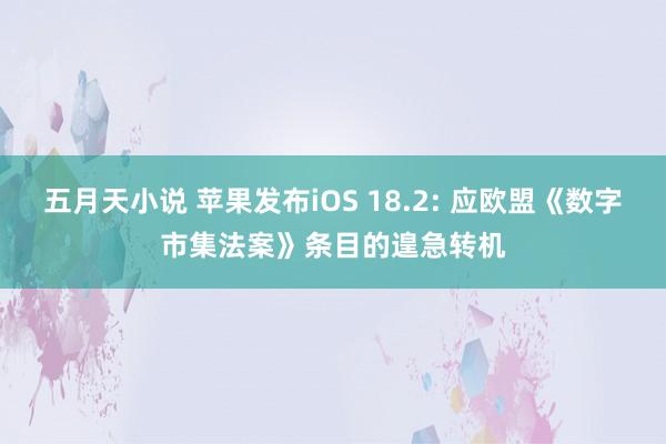 五月天小说 苹果发布iOS 18.2: 应欧盟《数字市集法案》条目的遑急转机