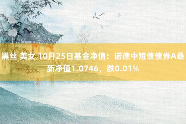 黑丝 美女 10月25日基金净值：诺德中短债债券A最新净值1.0746，跌0.01%