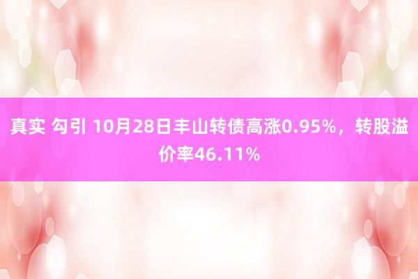 真实 勾引 10月28日丰山转债高涨0.95%，转股溢价率46.11%