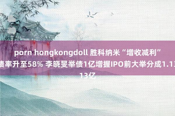 porn hongkongdoll 胜科纳米“增收减利”欠债率升至58% 李晓旻举债1亿增握IPO前大举分成1.13亿