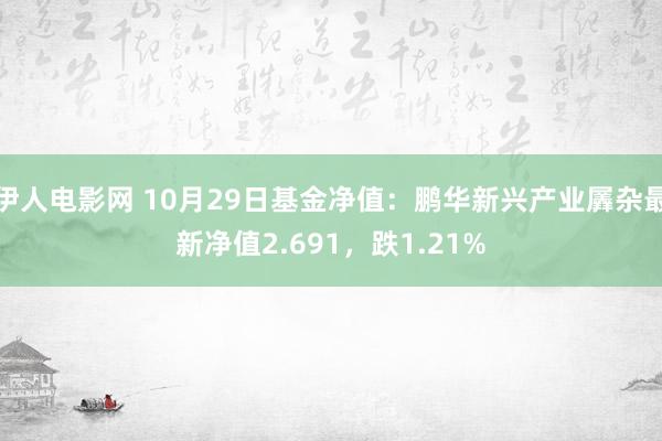 伊人电影网 10月29日基金净值：鹏华新兴产业羼杂最新净值2.691，跌1.21%