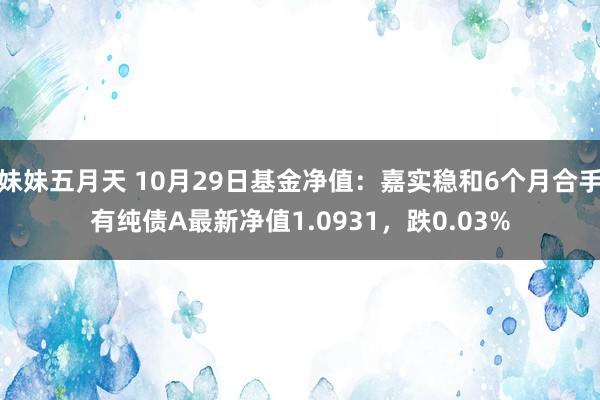 妹妹五月天 10月29日基金净值：嘉实稳和6个月合手有纯债A最新净值1.0931，跌0.03%