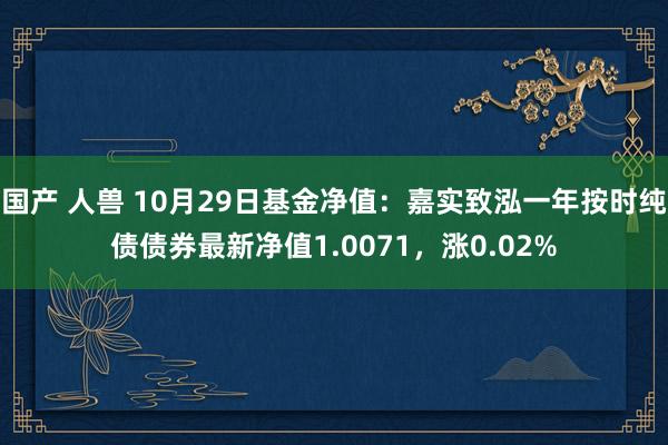 国产 人兽 10月29日基金净值：嘉实致泓一年按时纯债债券最新净值1.0071，涨0.02%