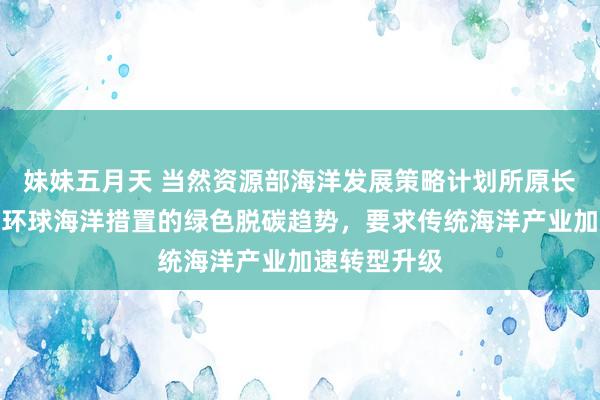 妹妹五月天 当然资源部海洋发展策略计划所原长处张海文：环球海洋措置的绿色脱碳趋势，要求传统海洋产业加速转型升级