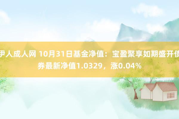 伊人成人网 10月31日基金净值：宝盈聚享如期盛开债券最新净值1.0329，涨0.04%