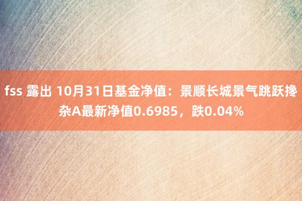 fss 露出 10月31日基金净值：景顺长城景气跳跃搀杂A最新净值0.6985，跌0.04%