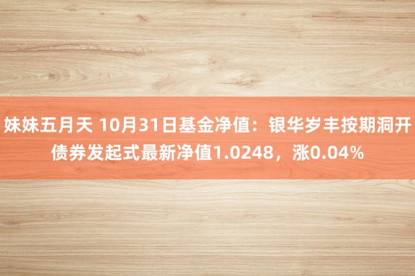 妹妹五月天 10月31日基金净值：银华岁丰按期洞开债券发起式最新净值1.0248，涨0.04%