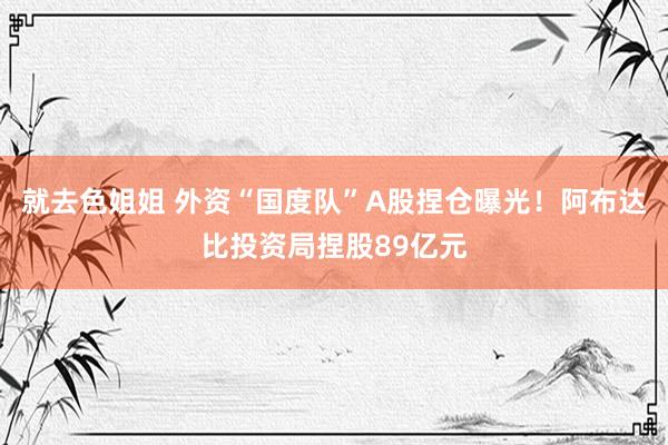 就去色姐姐 外资“国度队”A股捏仓曝光！阿布达比投资局捏股89亿元