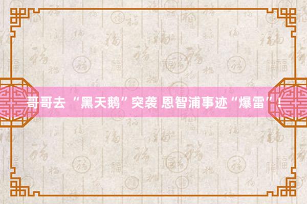 哥哥去 “黑天鹅”突袭 恩智浦事迹“爆雷”！