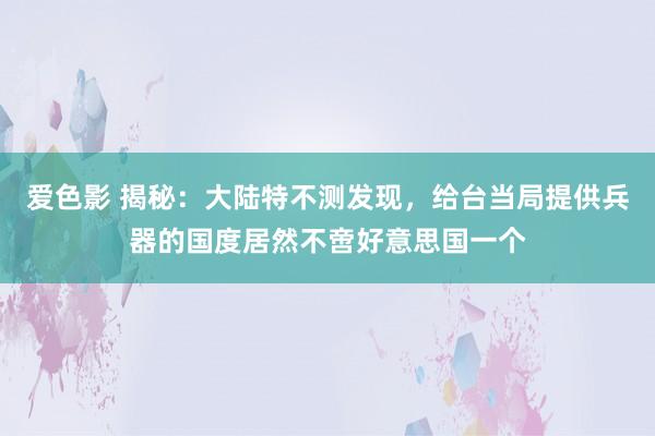 爱色影 揭秘：大陆特不测发现，给台当局提供兵器的国度居然不啻好意思国一个