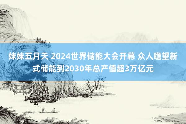 妹妹五月天 2024世界储能大会开幕 众人瞻望新式储能到2030年总产值超3万亿元