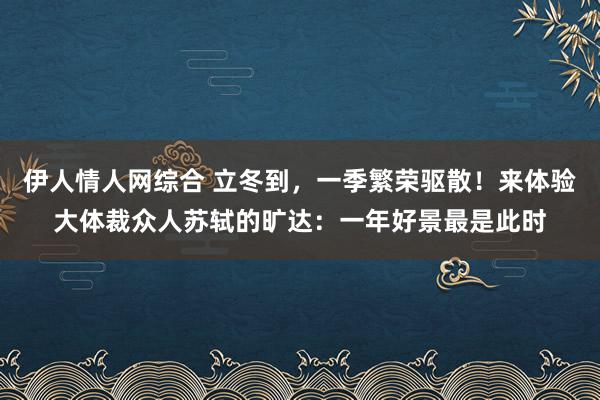 伊人情人网综合 立冬到，一季繁荣驱散！来体验大体裁众人苏轼的旷达：一年好景最是此时