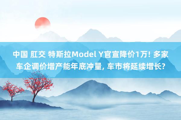 中国 肛交 特斯拉Model Y官宣降价1万! 多家车企调价增产能年底冲量， 车市将延续增长?