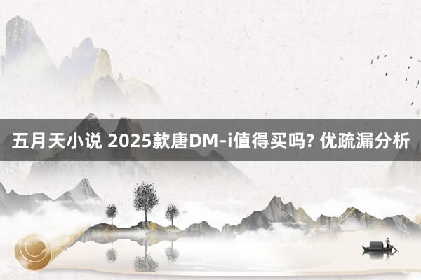 五月天小说 2025款唐DM-i值得买吗? 优疏漏分析