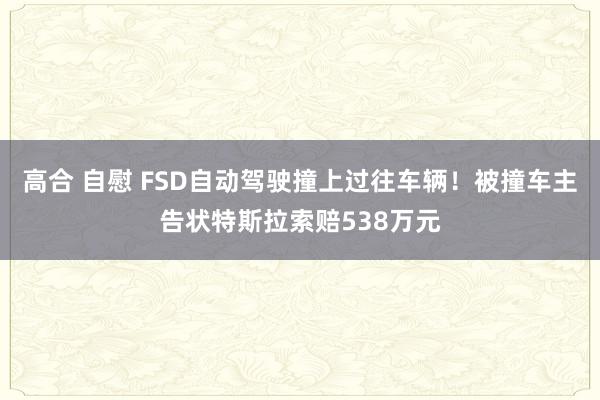 高合 自慰 FSD自动驾驶撞上过往车辆！被撞车主告状特斯拉索赔538万元