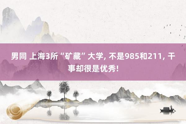 男同 上海3所“矿藏”大学， 不是985和211， 干事却很是优秀!