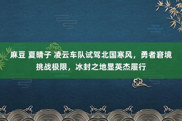 麻豆 夏晴子 凌云车队试驾北国寒风，勇者窘境挑战极限，冰封之地显英杰履行