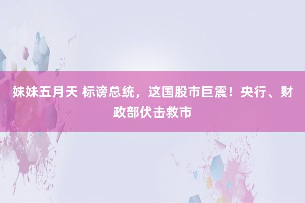 妹妹五月天 标谤总统，这国股市巨震！央行、财政部伏击救市