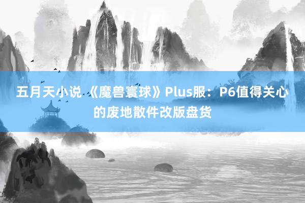 五月天小说 《魔兽寰球》Plus服：P6值得关心的废地散件改版盘货